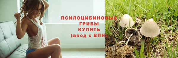 крисы Арсеньев