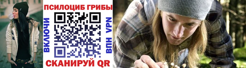 Купить закладки  Дюртюли  Псилоцибиновые грибы Psilocybe 